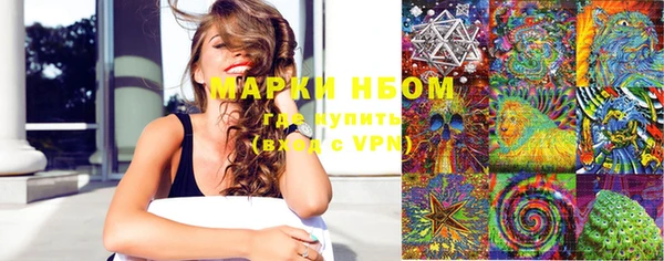 твердый Тайга